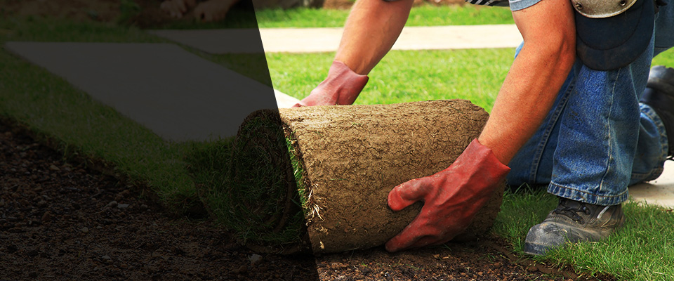 Glencoe Landscapers